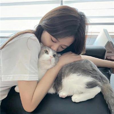 爱乱伴侣